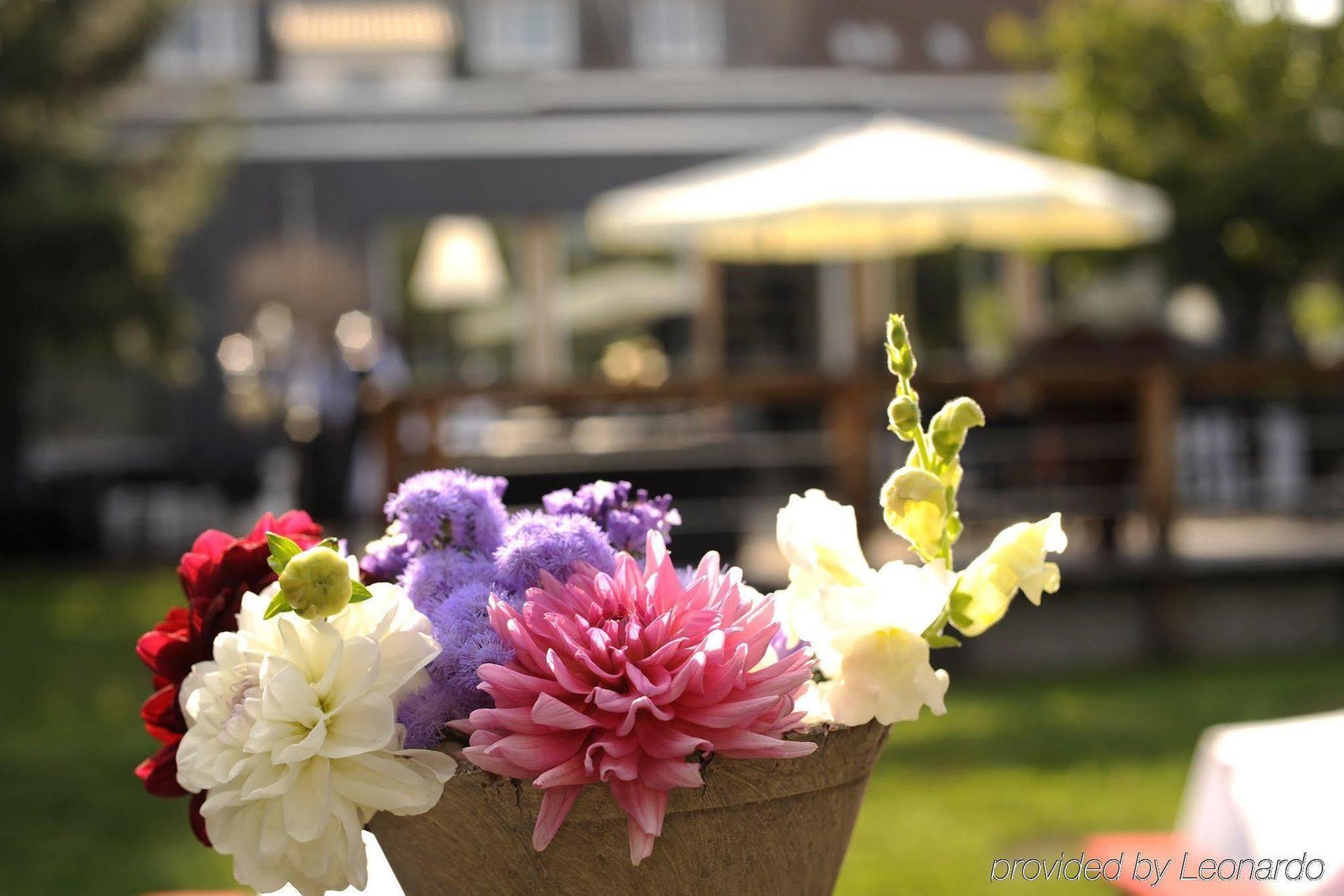Boutique Hotel Viva Creativo Hannover Exterior photo